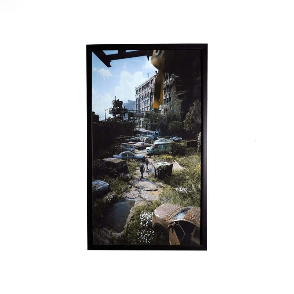 40*70 The Last Of Us