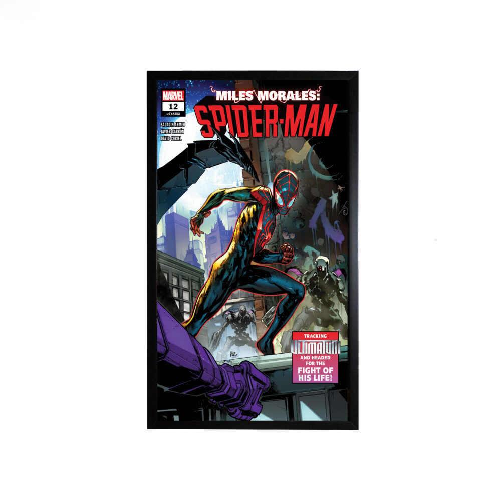 ۴۰*۷۰ طرح Spider-Man