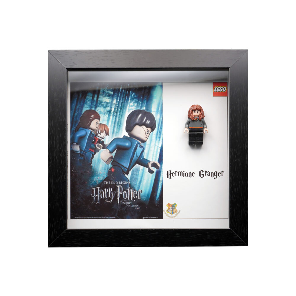 تابلو لگو Hermione Granger
