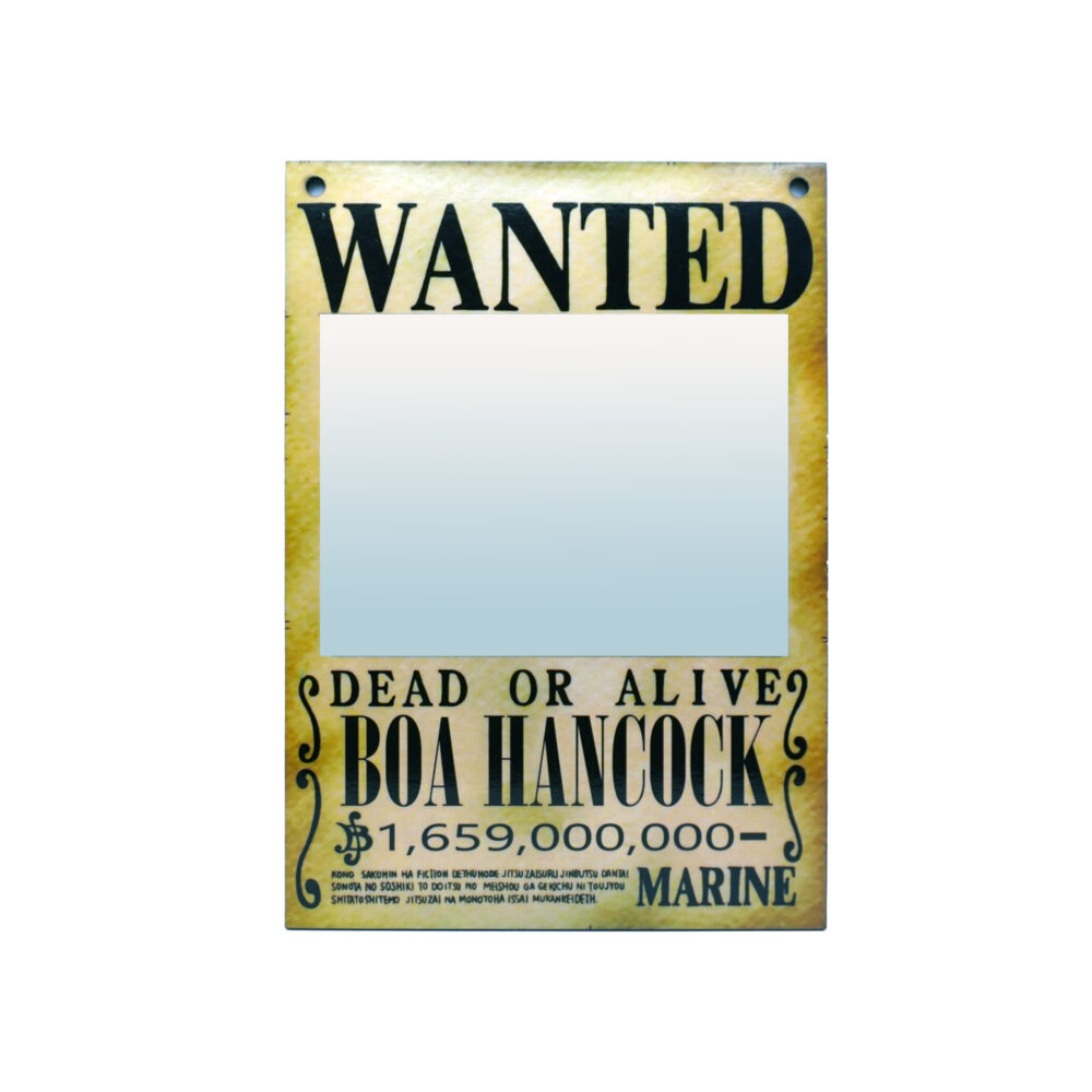 آیینه انیمه One Piece - تصویر 5