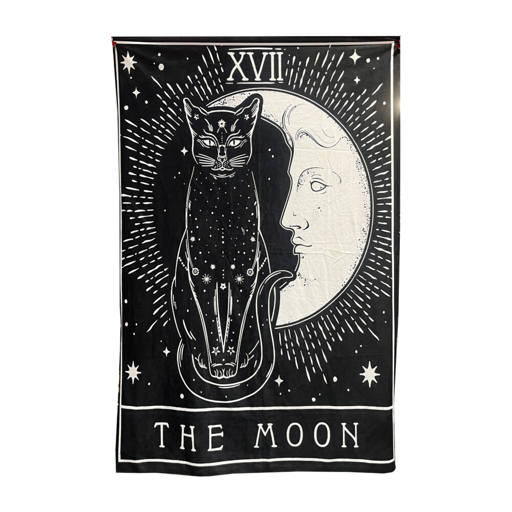 بکدراپ طرح The Moon