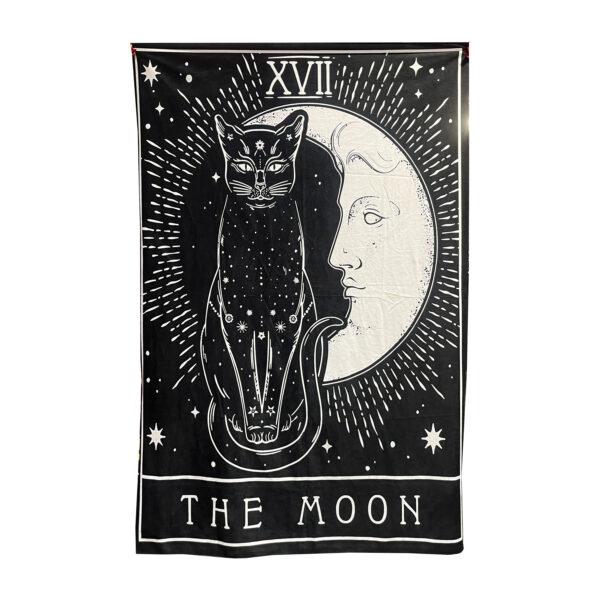 بکدراپ طرح The Moon