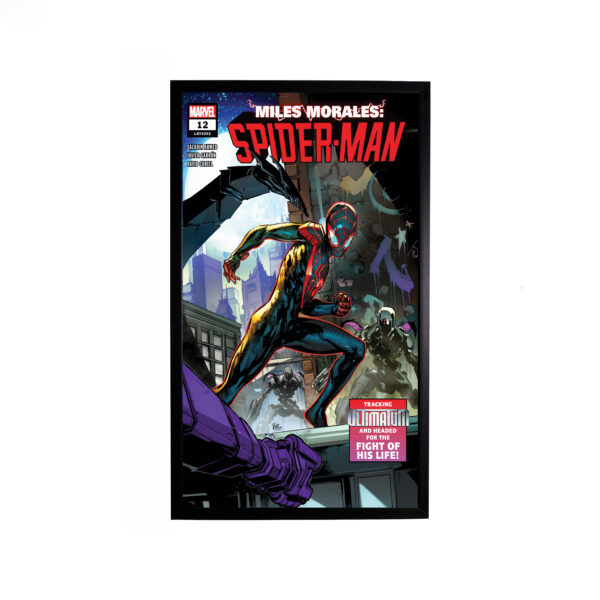 ۴۰*۷۰ طرح Spider-Man