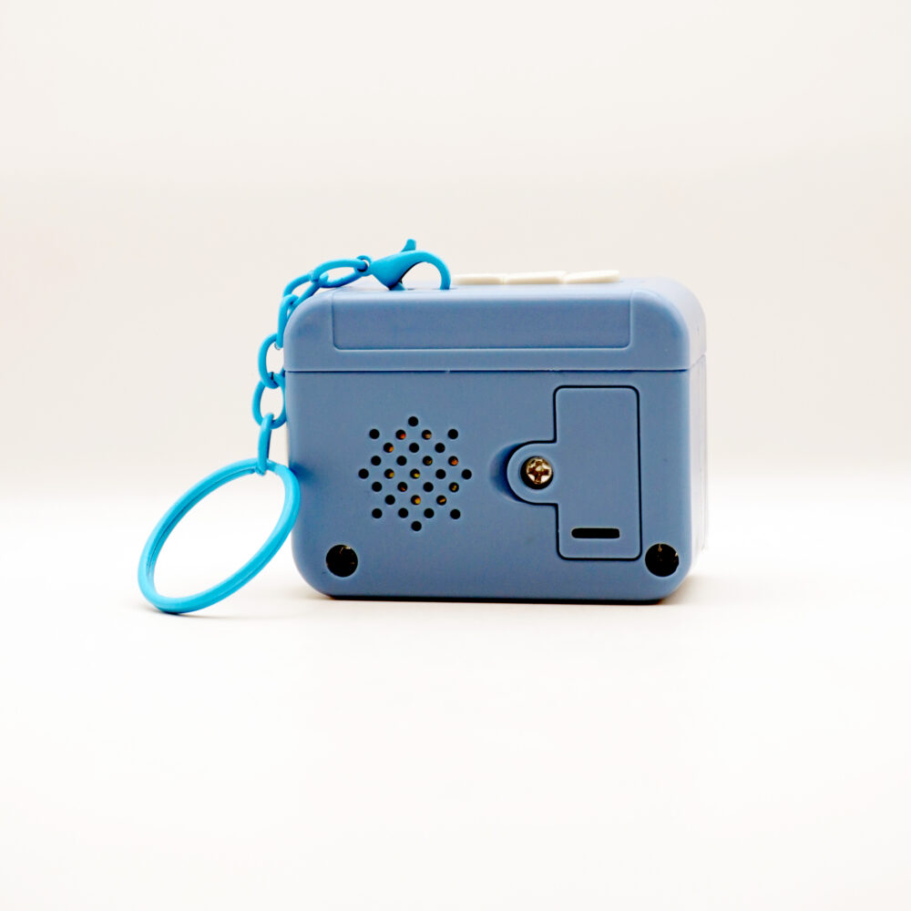 سرکلیدی واکمن آبی - تصویر 3